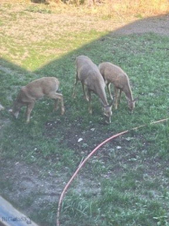 173 S Sun West Road, Cameron, MT 59720 photo 52