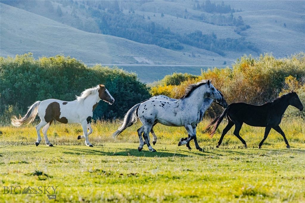 173 S Sun West Road, Cameron, MT 59720 photo 63