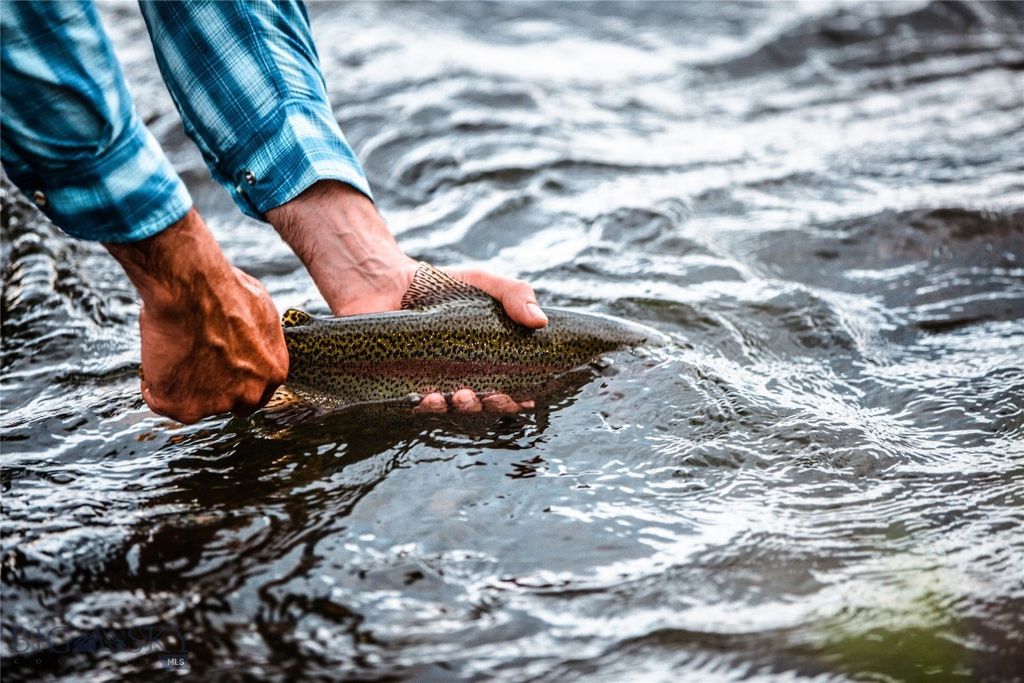 173 S Sun West Road, Cameron, MT 59720 photo 71