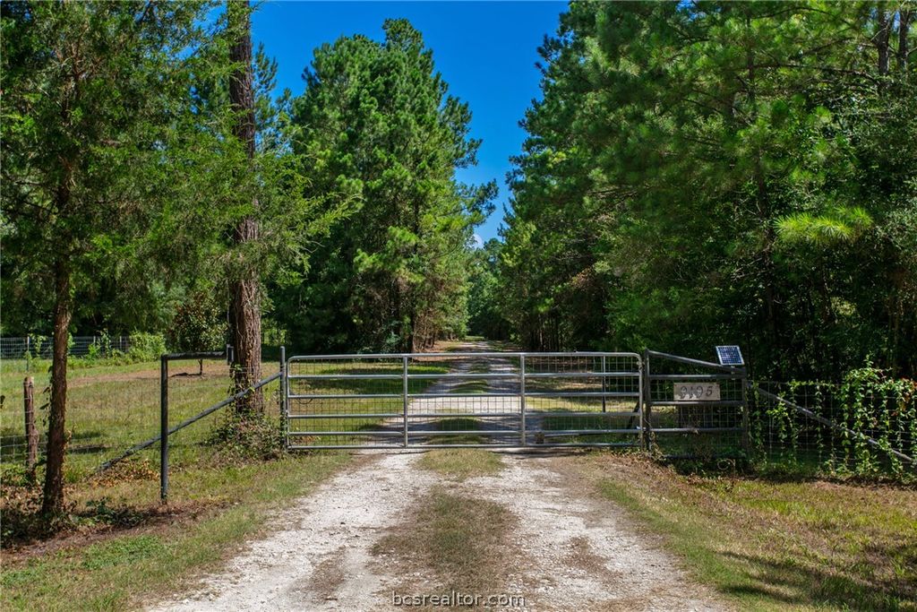 9195 County Road 207 County Road, Plantersville, TX 77363 — photo 3