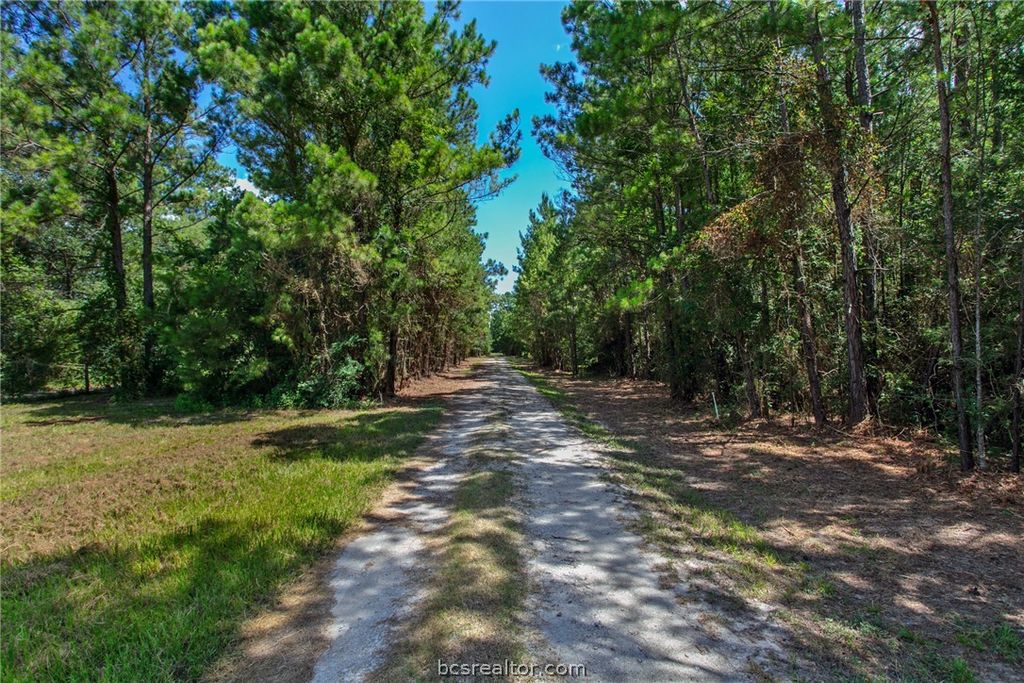 9195 County Road 207 County Road, Plantersville, TX 77363 — photo 4