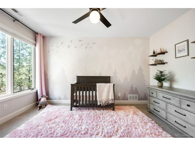 514 Prospect Dr, Castle Rock, CO 80108