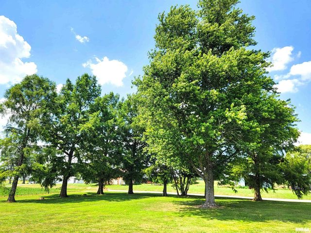 232 PALM Lane, Flora, IL 62839