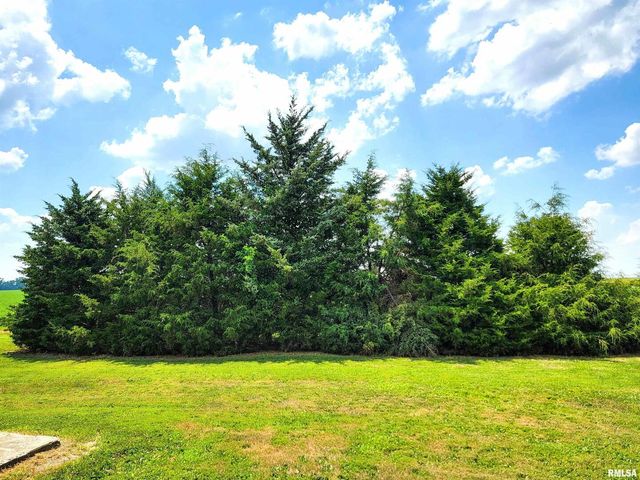 232 PALM Lane, Flora, IL 62839