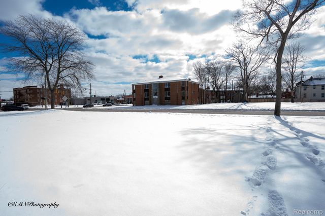 13523 Greiner Street, Detroit, MI 48205