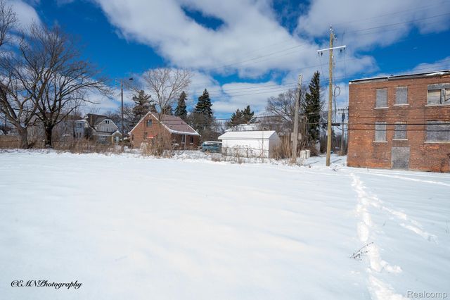 13523 Greiner Street, Detroit, MI 48205