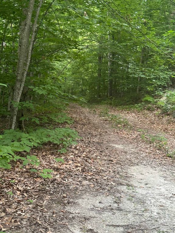 51 Crane View Drive, Salisbury, VT 05769