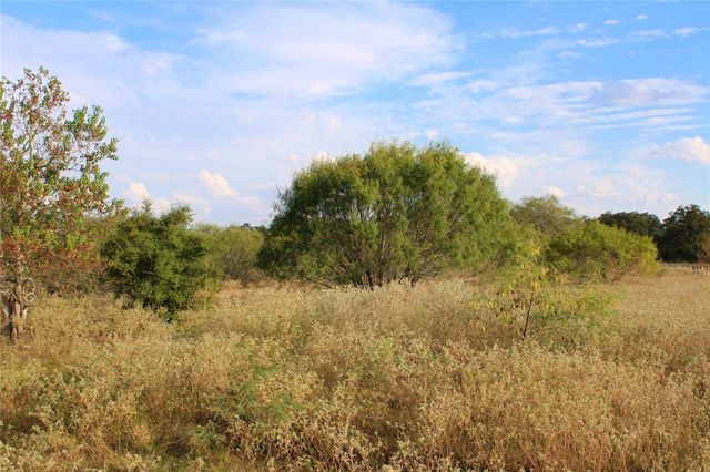 0 Lobo Lane, Columbus, TX 78934