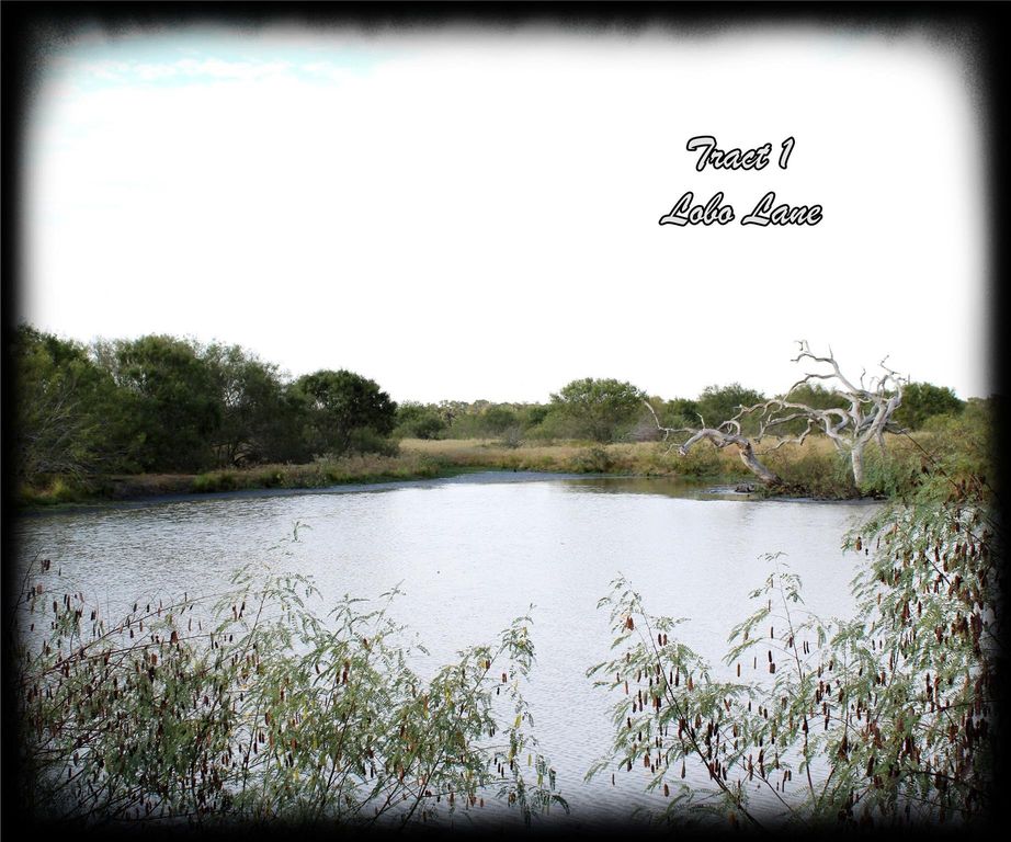 0 Lobo Lane, Columbus, TX 78934
