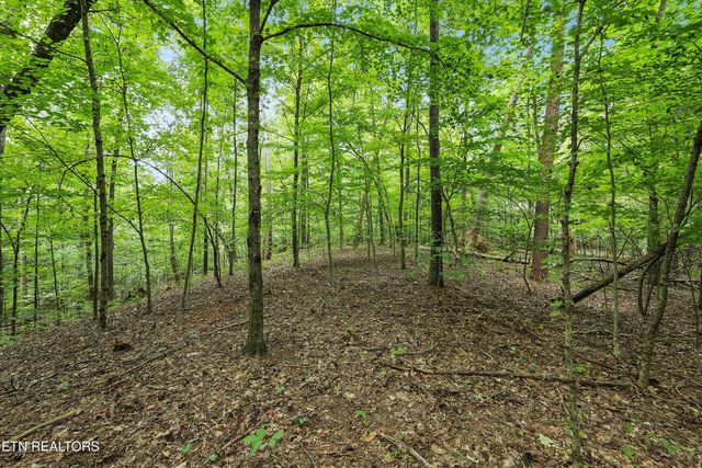 3617 Betty Lane, Knoxville, TN 37931