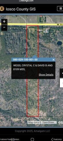 8109 M 55, Whittemore, MI 48770