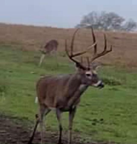 3713 County Road 386, Marquez, TX 77865