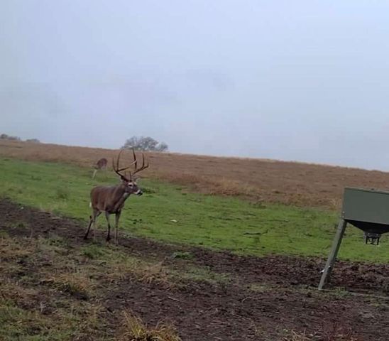 3713 County Road 386, Marquez, TX 77865