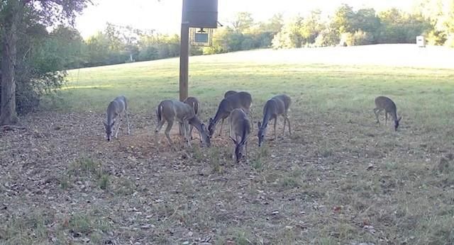 3713 County Road 386, Marquez, TX 77865