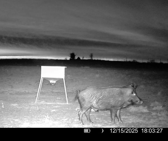 3713 County Road 386, Marquez, TX 77865