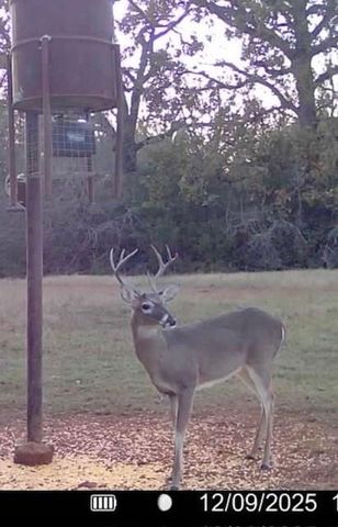 3713 County Road 386, Marquez, TX 77865