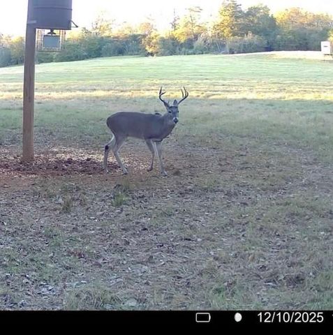 3713 County Road 386, Marquez, TX 77865