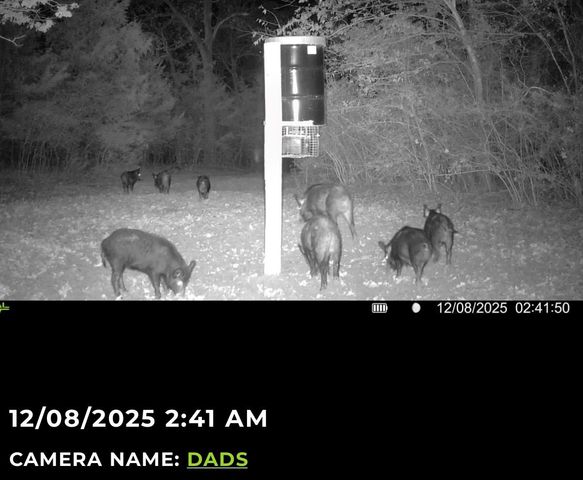 3713 County Road 386, Marquez, TX 77865