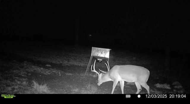 3713 County Road 386, Marquez, TX 77865