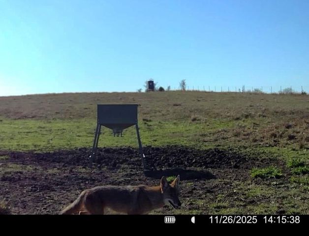 3713 County Road 386, Marquez, TX 77865