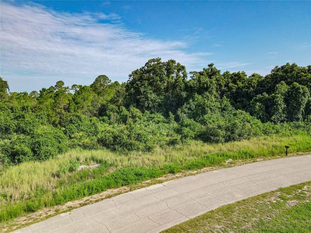 0 HUDSON VALLEY DRIVE, Kissimmee, FL 34759