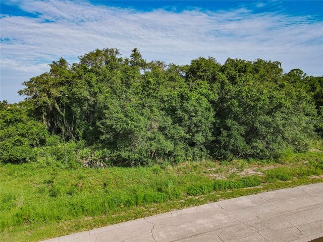 0 HUDSON VALLEY DRIVE, Kissimmee, FL 34759