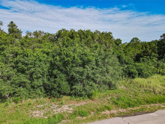 0 HUDSON VALLEY DRIVE, Kissimmee, FL 34759
