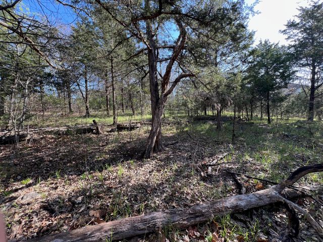 27 Timberlake Circle, Galena, MO 65656