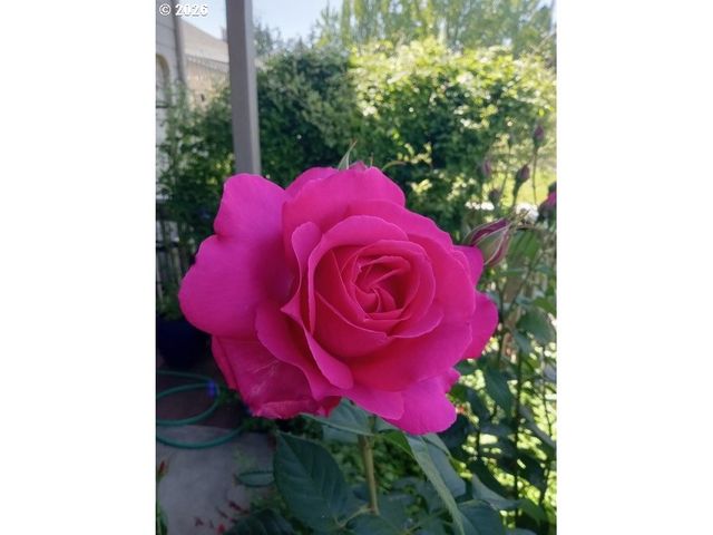 2026 LAKE ISLE Dr, Eugene, OR 97401