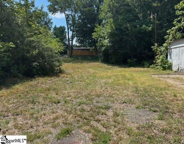 Cone Street, Greenville, SC 29609