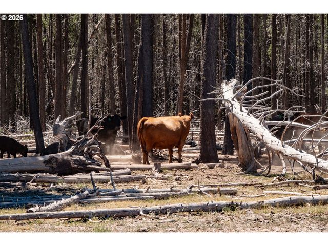 1950 SILVER LAKE Rd, Chiloquin, OR 97624