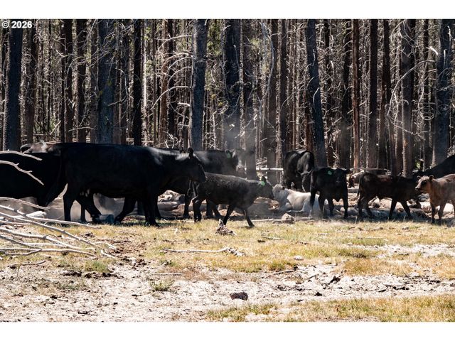 1950 SILVER LAKE Rd, Chiloquin, OR 97624