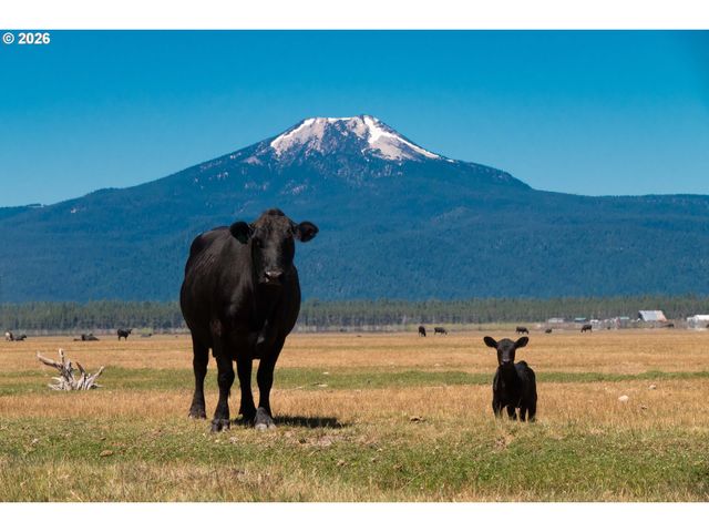 1950 SILVER LAKE Rd, Chiloquin, OR 97624