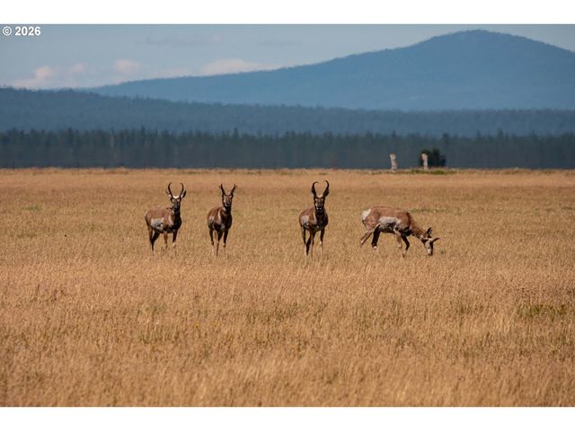 1950 SILVER LAKE Rd, Chiloquin, OR 97624