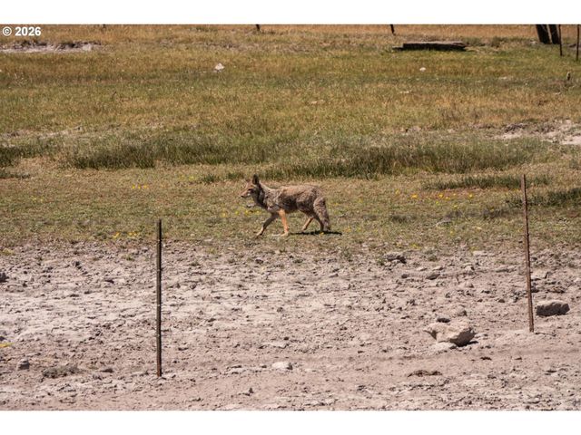 1950 SILVER LAKE Rd, Chiloquin, OR 97624