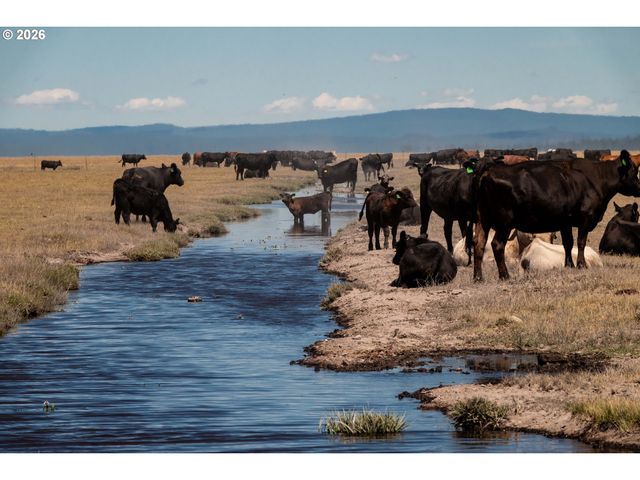 1950 SILVER LAKE Rd, Chiloquin, OR 97624