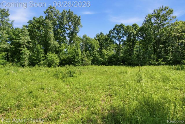 657 DONNA MAE, Addison Township, MI 48367