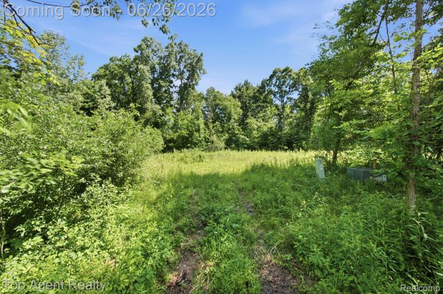 657 DONNA MAE, Addison Township, MI 48367