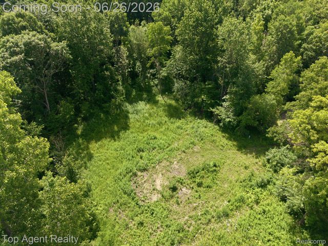 657 DONNA MAE, Addison Township, MI 48367
