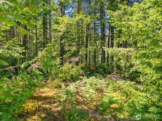 0 SP1357 E Glenwood Drive, Union, WA 98592