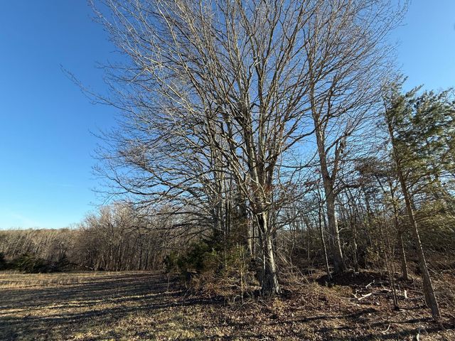 Lot 2 Lovely Valley RD, Wirtz, VA 24184
