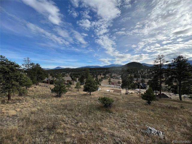 52 Deer Trail Dr, Bailey, CO 80421