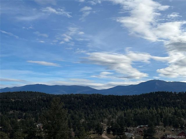 52 Deer Trail Dr, Bailey, CO 80421