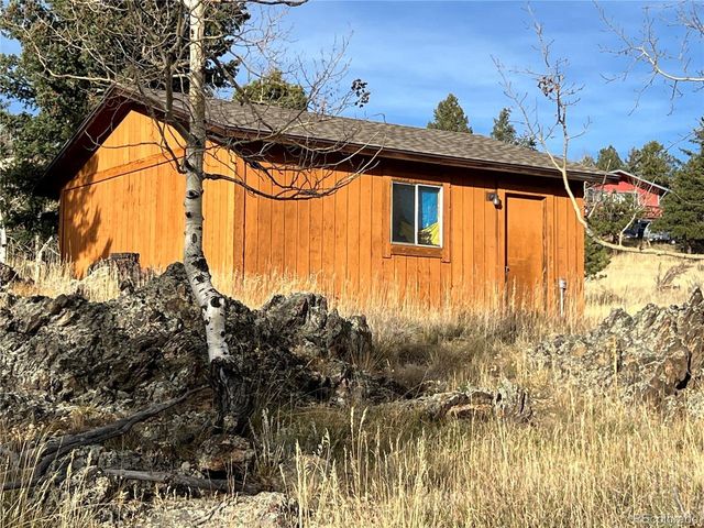52 Deer Trail Dr, Bailey, CO 80421
