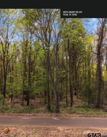 18275 CR 237, Tyler, TX 75705