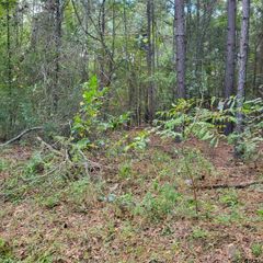 18275 CR 237, Tyler, TX 75705