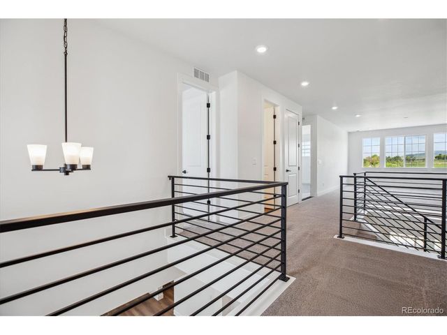 8605 Yellowcress St, Littleton, CO 80125