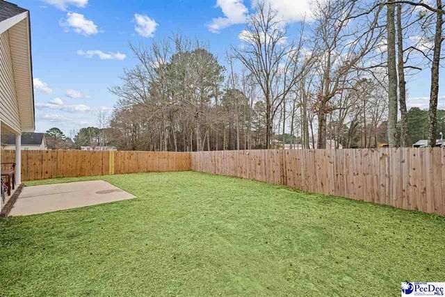 3248 Spiral Lane, Effingham, SC 29541