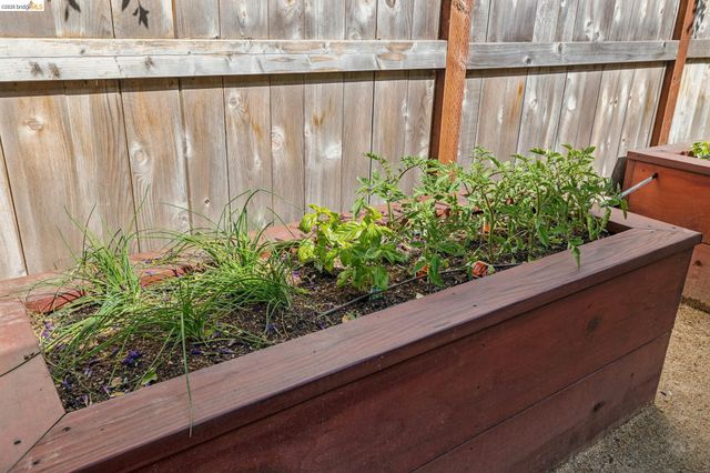 1020 Channing Way, Berkeley, CA 94710