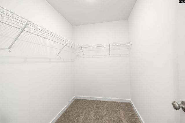 32 Fawn Spot Court, Elgin, SC 29045